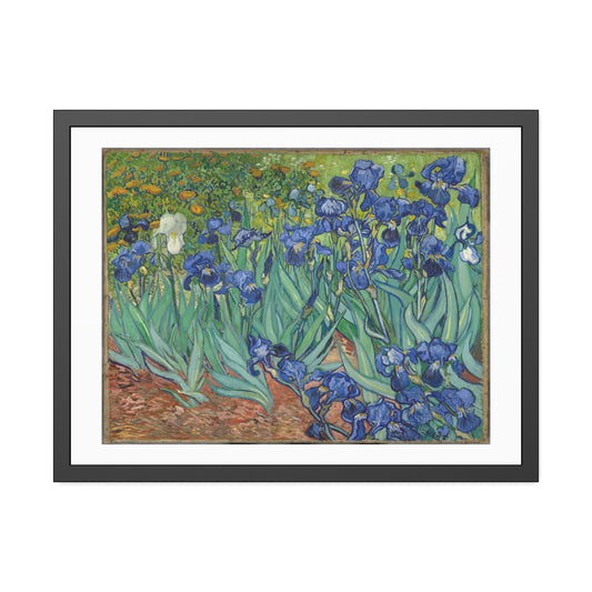 Irises by Vincent Van Gogh Glass Framed Print