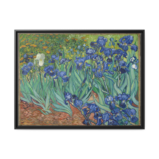 Irises by Vincent Van Gogh Framed Gallery Canvas